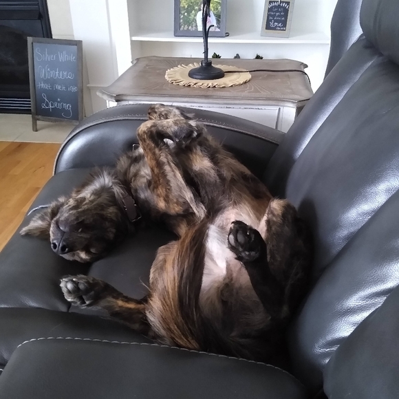 Meet your Posher, Andrea - Picture 7 of 16